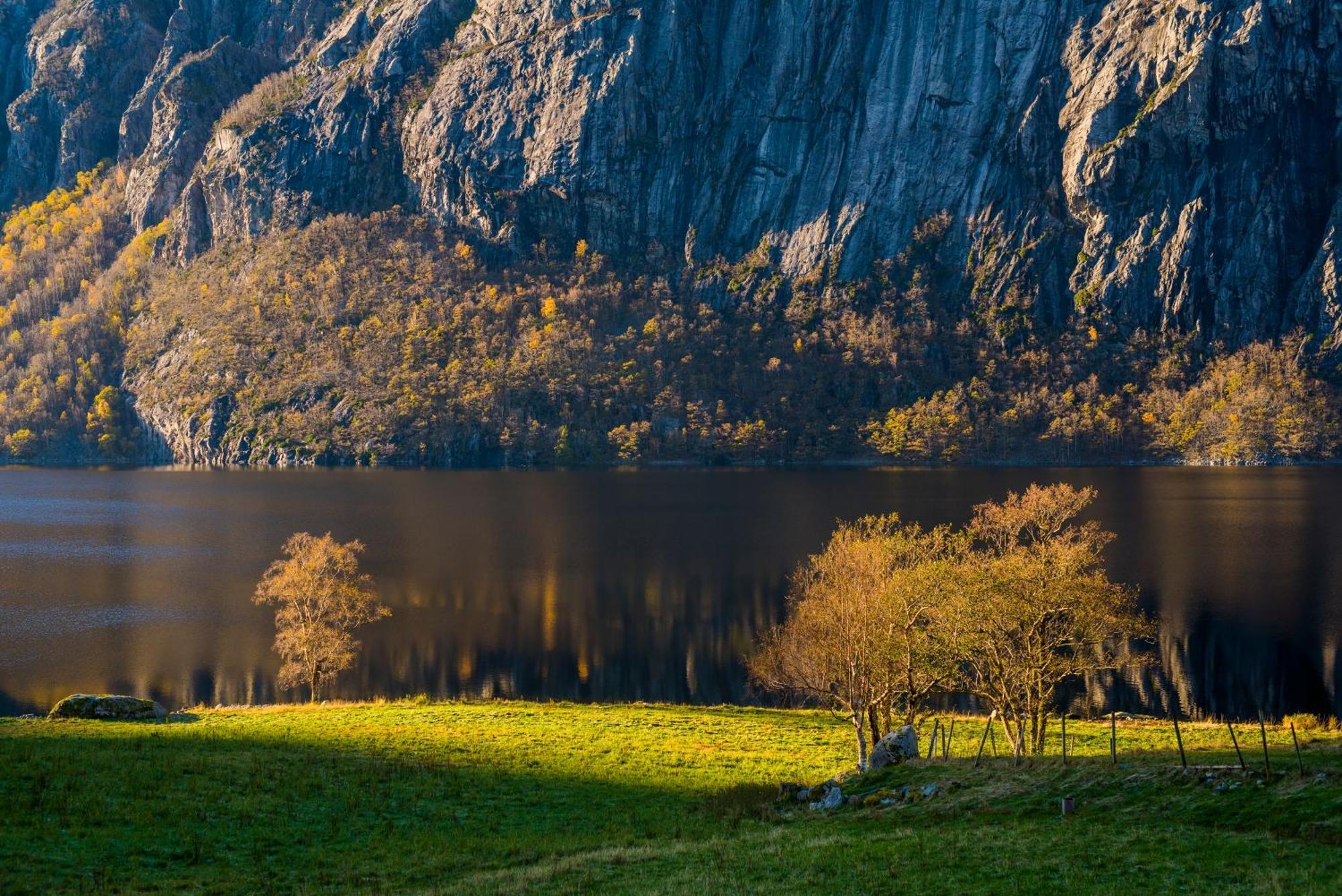 Hytte Ved Preikestolen Forsand Ngoại thất bức ảnh